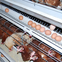 Cage de batterie au poulet pour la ferme de volaille